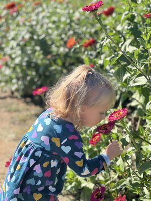 Smelling the flowers