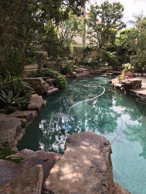 My pool looking beautiful and clean because of Hieu.