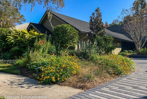 Stunning example of a Front yard Florida native wild flower Meadow.