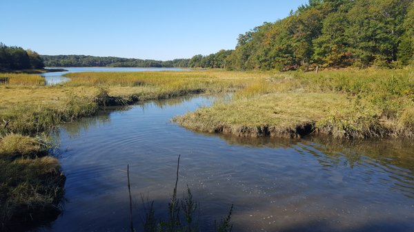 Weymouth MA Back River