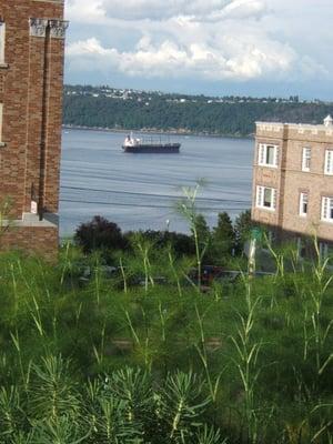 Cargo ships pass almost hourly - view from the wraparound porch.