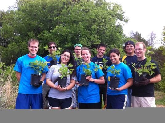 Clean Sweep native planting