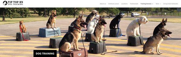 Tip Top K9 Dog Training