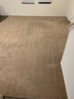 Americlean Carpet & Tile Restoration