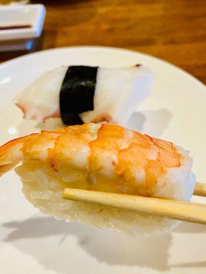 Shrimp Sushi