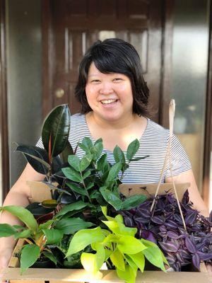 An assortment of colorful, healthy indoor plants