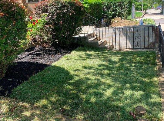 Sod & Mulch Installment