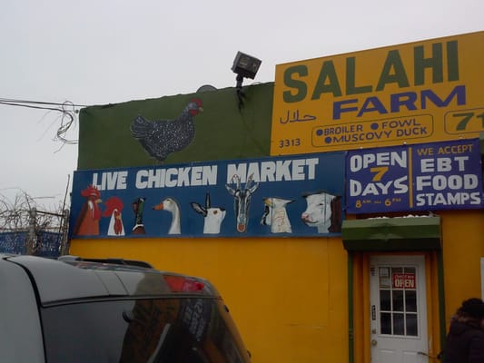 Salahi Live Poultry