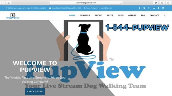 Check Out Our Website To Learn More! PupViewDogWalkers.com OR Call Us At 1-844-PUPVIEW!