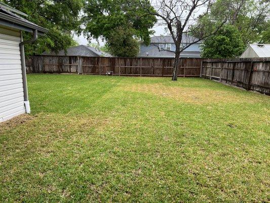 My backyard. No lake. No pond.  And the little brown is because the sod temporarily goes into shock when it's laid.