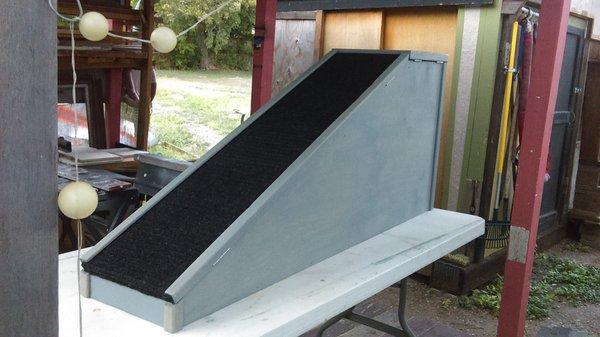 Storage box AND ramp to bed for dogs! (The black top opens up.)