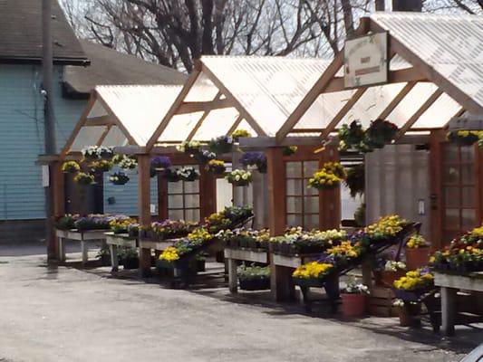 Entrance to main greenhouse and checkout counter.