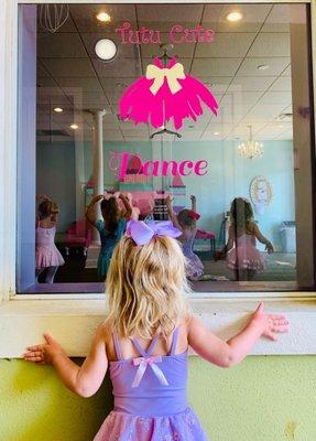 Peeking in the windows wanting to join her big sisters!