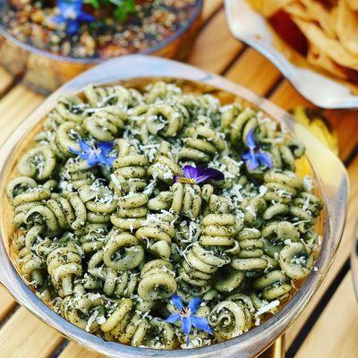 Foraged nettle pasta salad