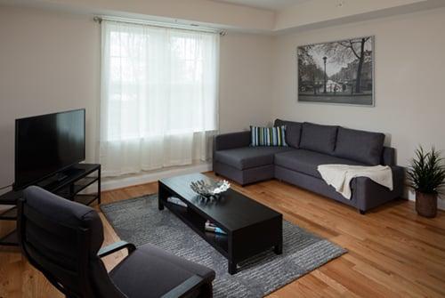 Living Room with pull out Sofa Bed