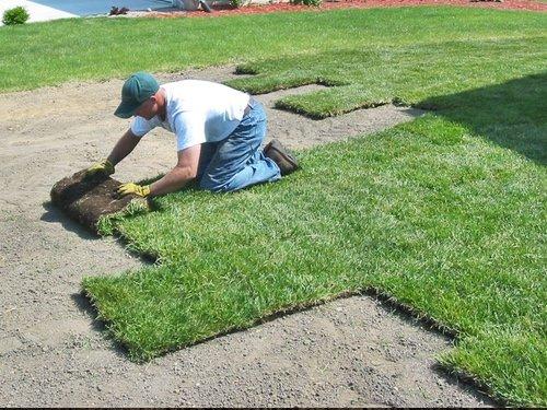 Sod install