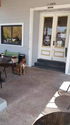 They have a great, dog friendly, shaded seating area!