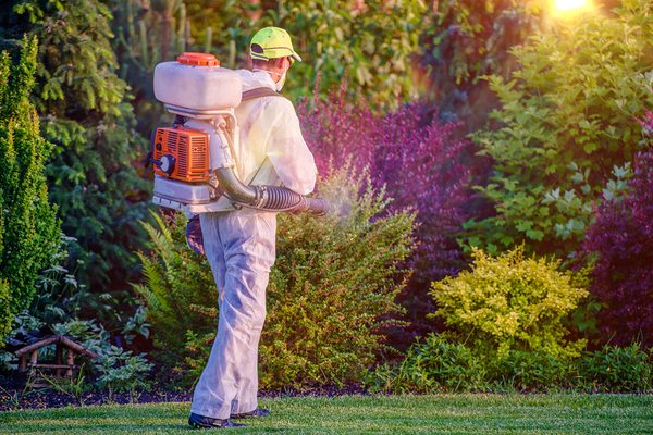 Staten Island Mosquito & Pest Control