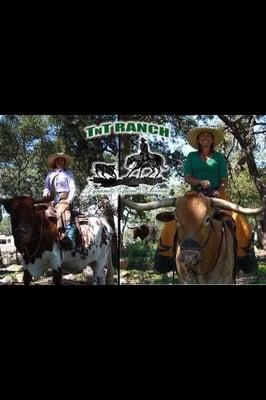 Longhorns for sale!! Www.TnTLonghorns.com