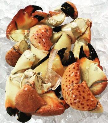 Stone Crabs