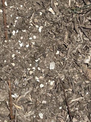 Flecks of cement and cement dust left in an edible organic garden bed that was supposed to be covered and protected.