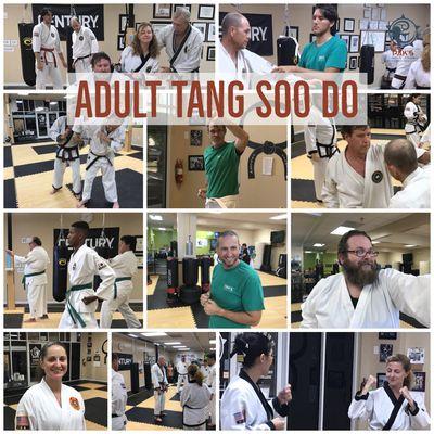 Adult Martial Arts Program