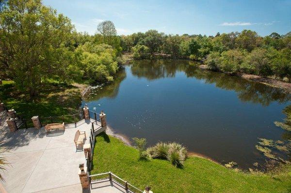 View of Pond