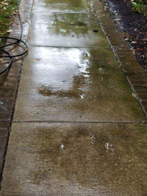 We can take care of your backyard walking path