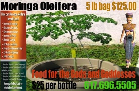 Moringa Super Food - Herbal Nutrition