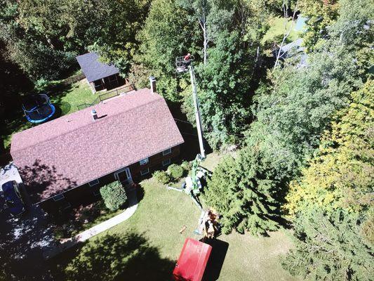 Aerial shot of the tree crew