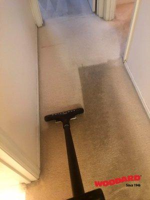 Before and after of residential carpet cleaning.