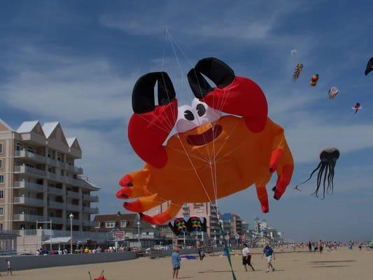 Giant Crab taking over the Beach