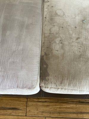 the difference between a steam cleaned upholstery and the before look