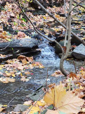 Tiny waterfall in the ravine