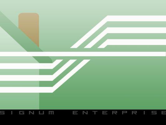 Signum Enterprise LLC