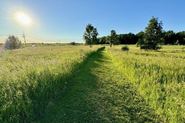 Walking trails are well maintained in the summer season