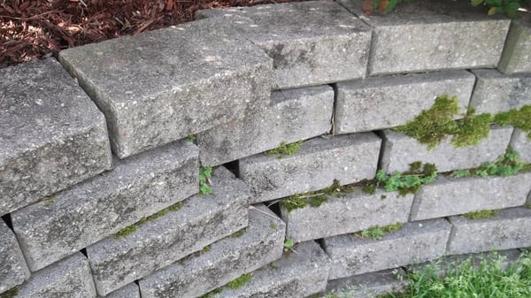 Structural issues at a retaining wall