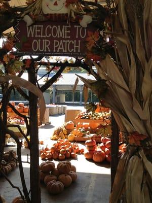 Pumpkins for sale.