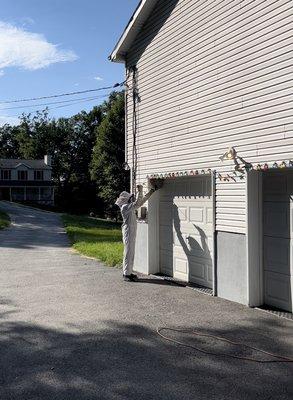 Removing large hornet nest from garage door