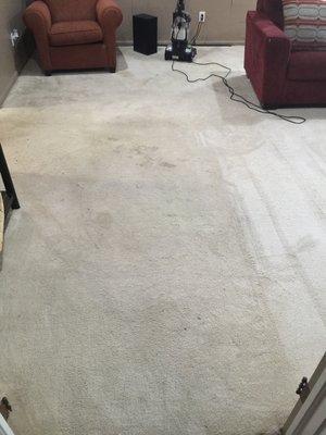 Before picture of garland home; 2 kids, 2 pets and lots of stains.