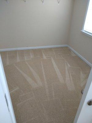 13 yr. Old original carpet in rental property! Multiple make-up stains expertly removed and cleaned by Premier Cleaning & Restoration!