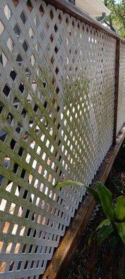 Deck Fencing Pressure wash