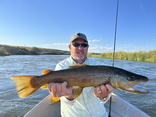 Beautiful Brown!