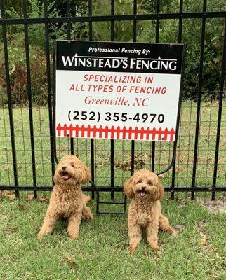 Winstead Fence Company