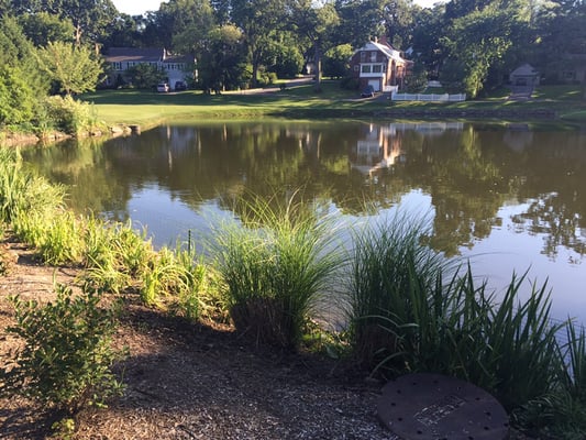 Pond to the left of the clubhouse (if you're standing on the steps looking out). Pretty sweet!