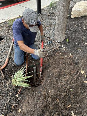 AAA Nursery & Landscaping