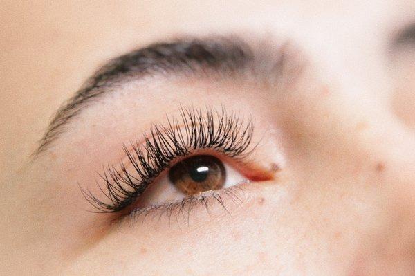 Classic Lash Extensions