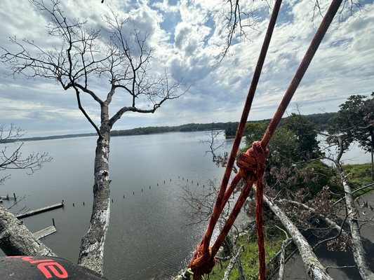 View from tree removal over the water.