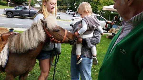 Chevy making friends