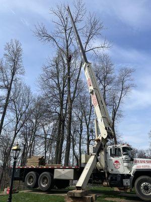 Mastership Tree Service And Landscaping